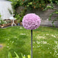 Allium / Zierlauch Gartenstecker