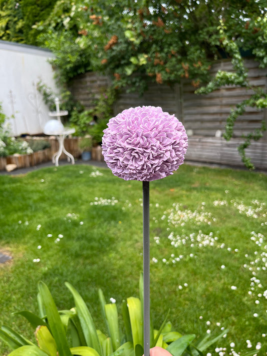 Allium / Zierlauch Gartenstecker
