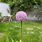 Allium / Zierlauch Gartenstecker