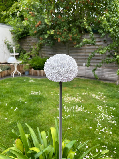 Allium / Zierlauch Gartenstecker
