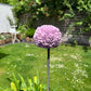 Allium / Zierlauch Gartenstecker