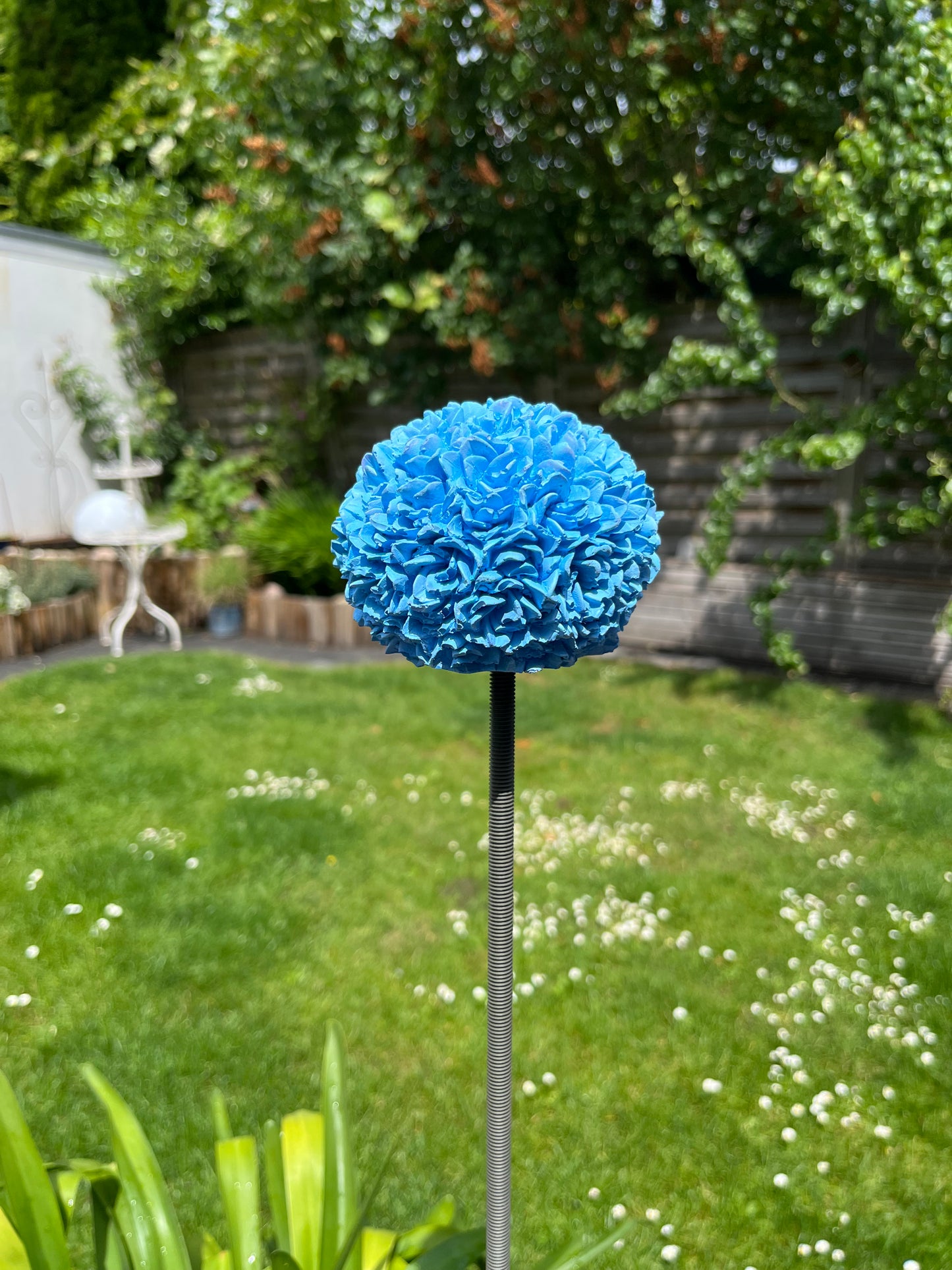 Allium / Zierlauch Gartenstecker